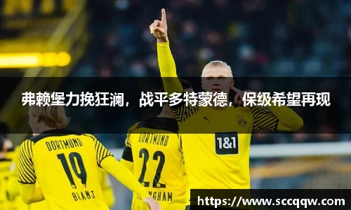 comment-img